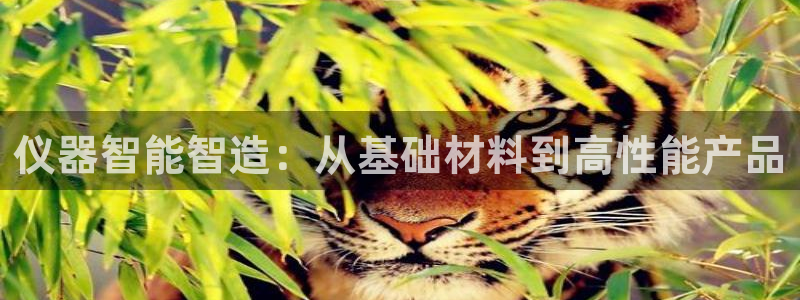 意昂3娱乐首页网站大全：仪器智能智造：从基础材料到高性能产品
