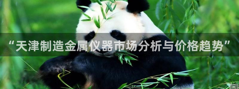 意昂体育3招商电话地址：“天津制造金属仪器市场分析与价格趋势