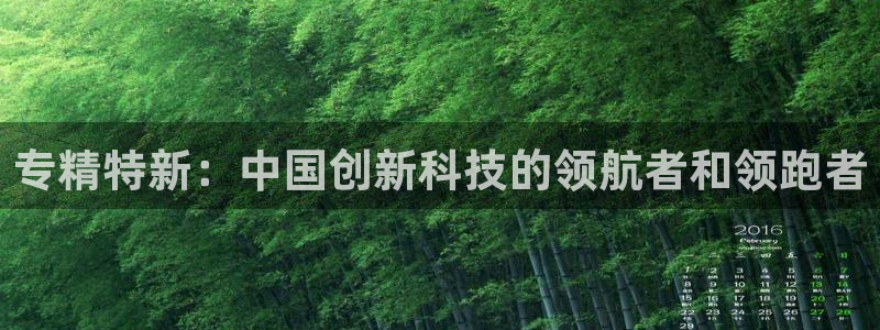 意昂3娱乐是那个系列的台子：专精特新：中国创新科技的领航者和