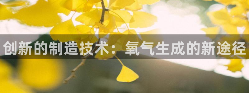 意昂3五金厂：创新的制造技术：氧气生成的新途径