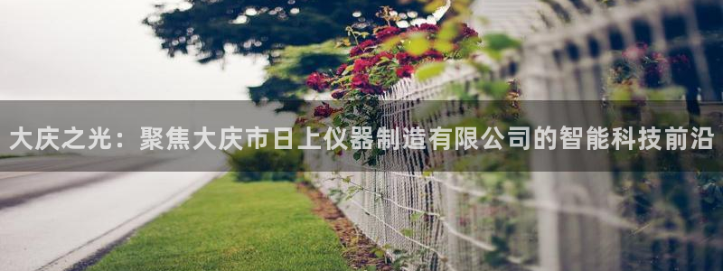 意昂3开户：大庆之光：聚焦大庆市日上仪器制造有限公司的智能科