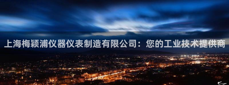 意昂体育3平台注册流程图：上海梅颖浦仪器仪表制造有限公司：您