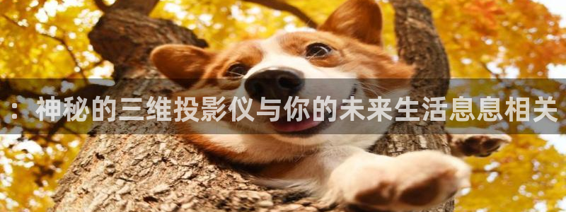 意昂体育3平台注册流程视频：：神秘的三维投影仪与你的未来生活