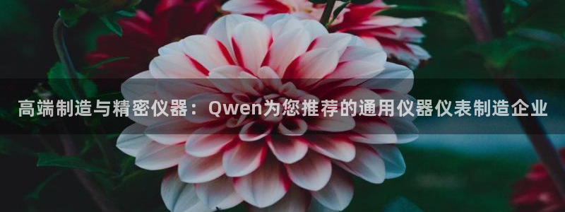 意昂3娱乐网站：高端制造与精密仪器：Qwen为您推荐的通用仪
