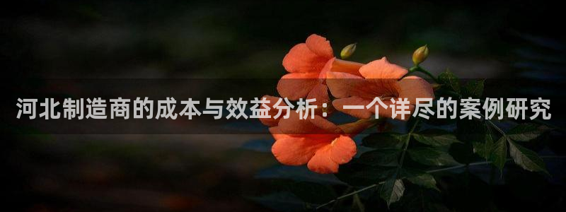 意昂体育3招商电话号码查询：河北制造商的成本与效益分析：一个