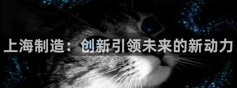 意昂3集团官网首页：上海制造：创新引领未来的新动力