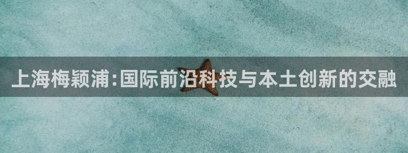 意昂3开户：上海梅颖浦:国际前沿科技与本土创新的交融