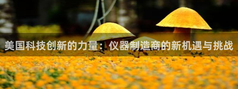 意昂体育3软件：美国科技创新的力量：仪器制造商的新机遇与挑战