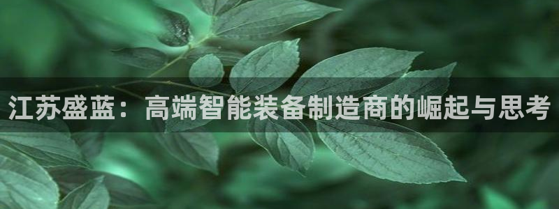 意昂体育3注册：江苏盛蓝：高端智能装备制造商的崛起与思考