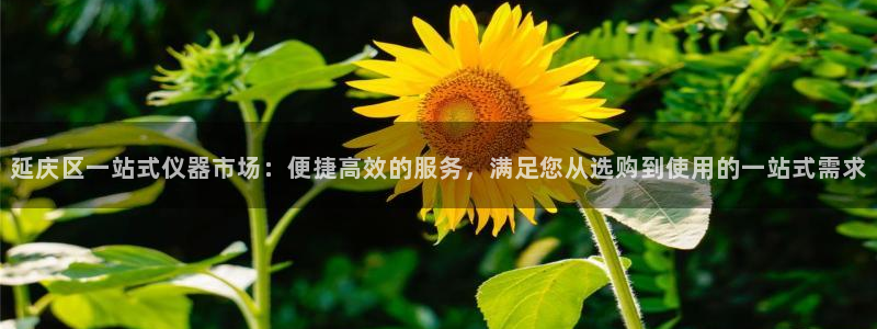 海南意昂体育3：延庆区一站式仪器市场：便捷高效的服务，满足您