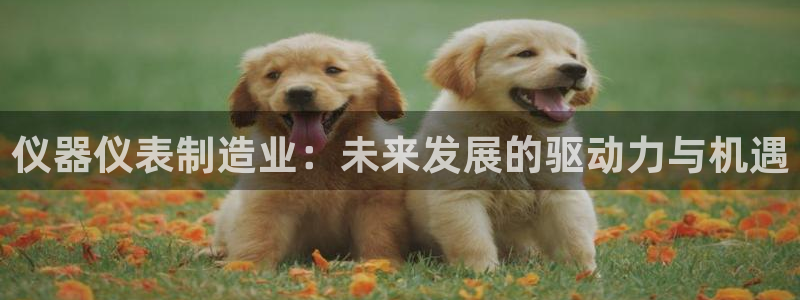 意昂体育3娱乐：仪器仪表制造业：未来发展的驱动力与机遇