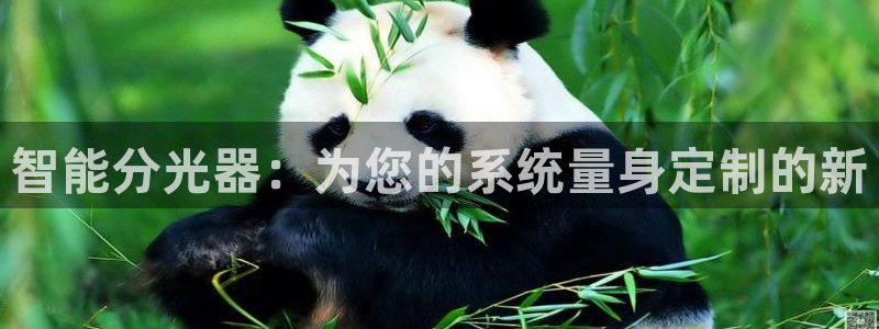 意昂3代理：智能分光器：为您的系统量身定制的新