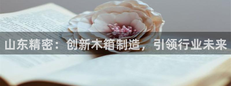 意昂体育3招商：山东精密：创新木箱制造，引领行业未来