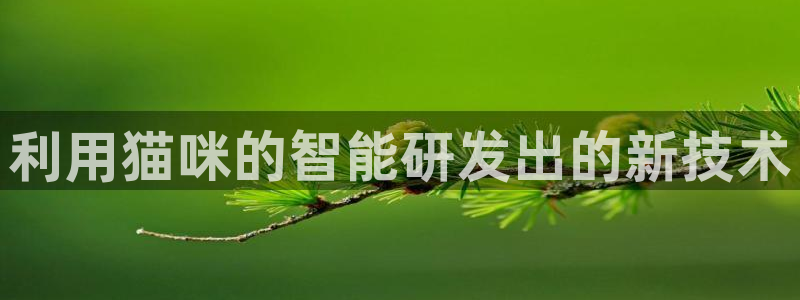 意昂体育3招商电话号码是多少：利用猫咪的智能研发出的新技术
