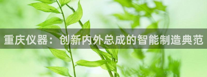 意昂体育3平台假的吗是真的吗吗：重庆仪器：创新内外总成的智能