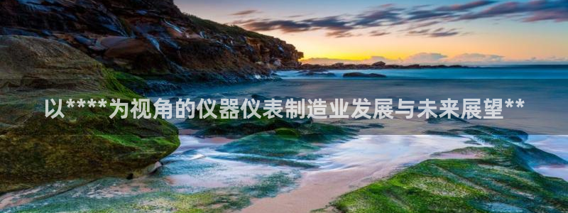 意昂体育3招商电话号码是多少：以****为视角的仪器仪表制造
