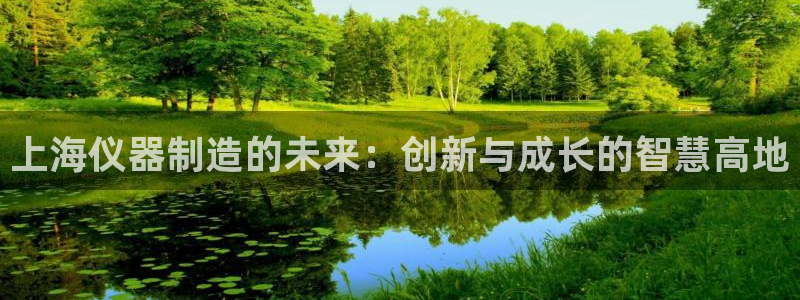 意昂3集团E.ON：上海仪器制造的未来：创新与成长的智慧高地
