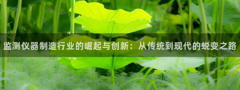 意昂3五金厂：监测仪器制造行业的崛起与创新：从传统到现代的蜕