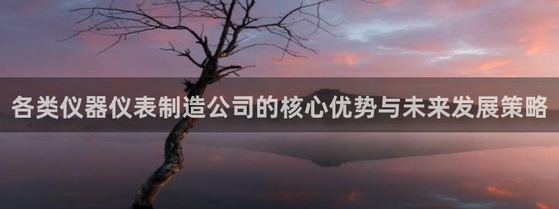 意昂体育3招商电话是多少啊：各类仪器仪表制造公司的核心优势与