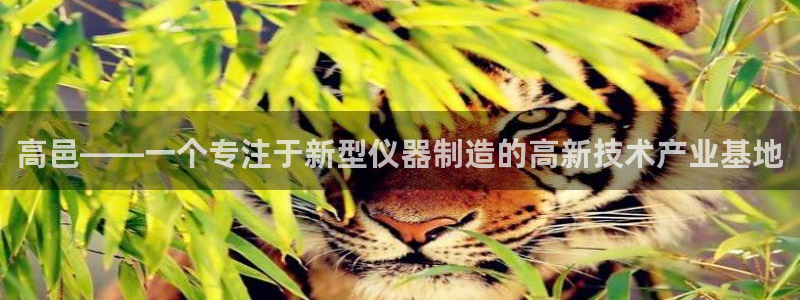 意昂集团官网：高邑——一个专注于新型仪器制造的高新技术产业基