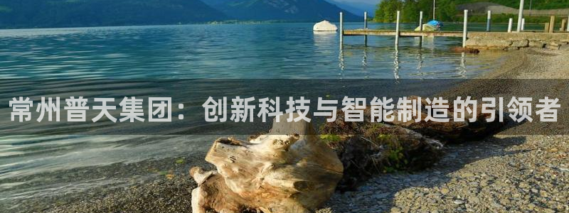 意昂体育3娱乐：常州普天集团：创新科技与智能制造的引领者