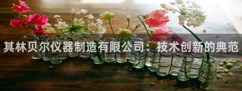 意昂3科技：其林贝尔仪器制造有限公司：技术创新的典范