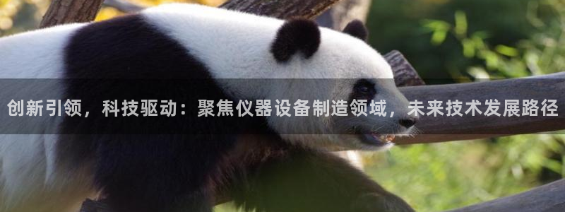 意昂3娱乐代理怎么样：创新引领，科技驱动：聚焦仪器设备制造领