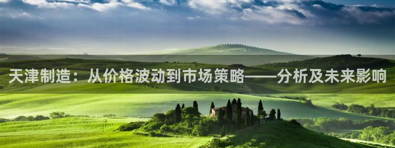 意昂体育3开户：天津制造：从价格波动到市场策略——分析及未来