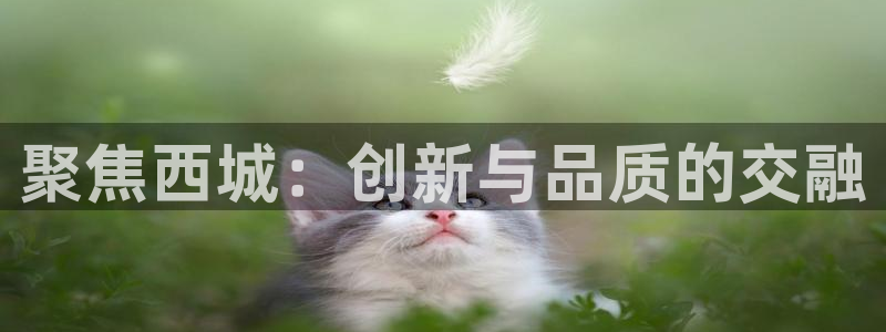 意昂体育3平台假的吗是真的吗吗：聚焦西城：创新与品质的交融
