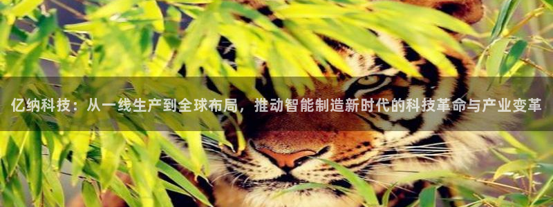 意昂集团官网：亿纳科技：从一线生产到全球布局，推动智能制造新