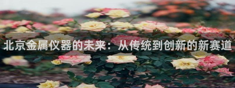 意昂体育3平台注册要钱吗：北京金属仪器的未来：从传统到创新的