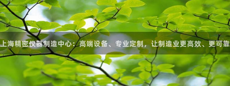 意昂体育3招商电话号码是多少号：上海精密仪器制造中心：高端设