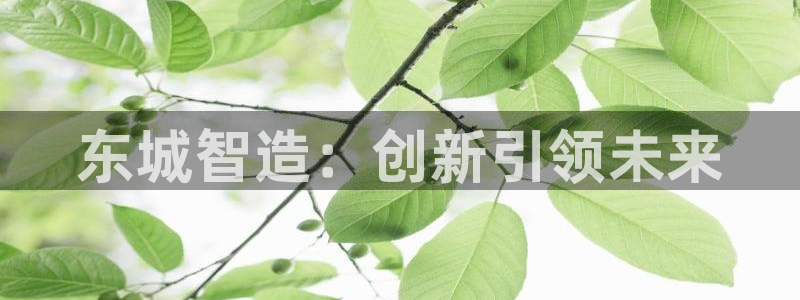意昂体育3平台注册要钱吗是真的吗：东城智造：创新引领未来