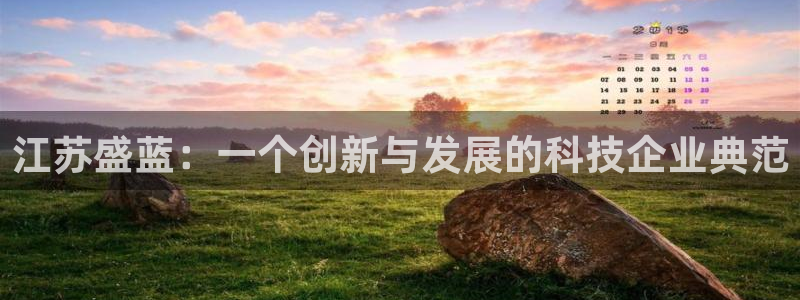 意昂体育3注册：江苏盛蓝：一个创新与发展的科技企业典范