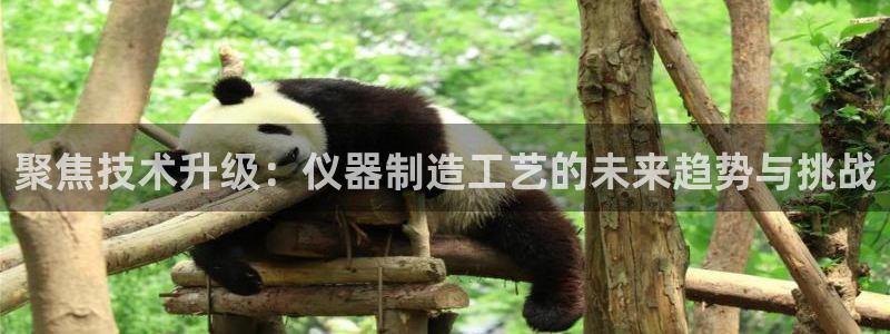 意昂3娱乐：聚焦技术升级：仪器制造工艺的未来趋势与挑战