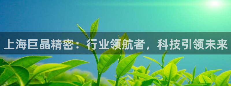 德国意昂3集团：上海巨晶精密：行业领航者，科技引领未来
