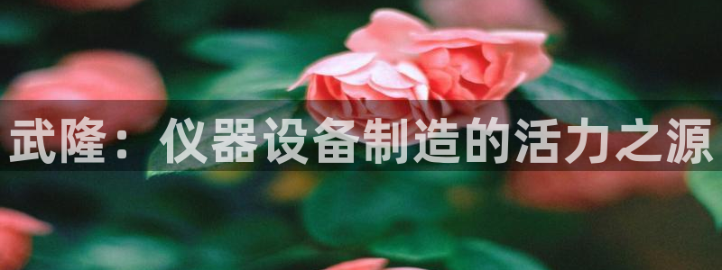 意昂体育3开户：武隆：仪器设备制造的活力之源