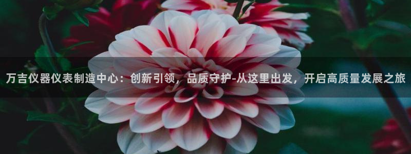 意昂体育3招商电话号码：万吉仪器仪表制造中心：创新引领，品质