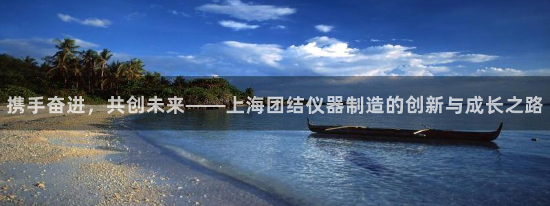 意昂体育3注册：携手奋进，共创未来——上海团结仪器制造的创新