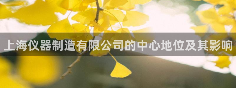 意昂体育3招商电话号码：上海仪器制造有限公司的中心地位及其影