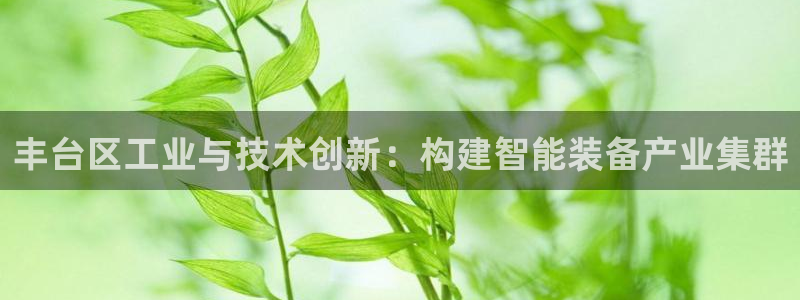 意昂体育3平台注册要钱吗是真的吗：丰台区工业与技术创新：构建