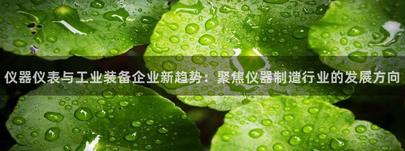 意昂3娱乐网站：仪器仪表与工业装备企业新趋势：聚焦仪器制造行