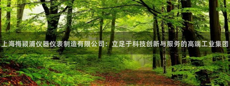 意昂3集团E.ON：上海梅颖浦仪器仪表制造有限公司：立足于科