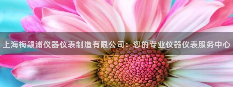 意昂3集团logo：上海梅颖浦仪器仪表制造有限公司：您的专业