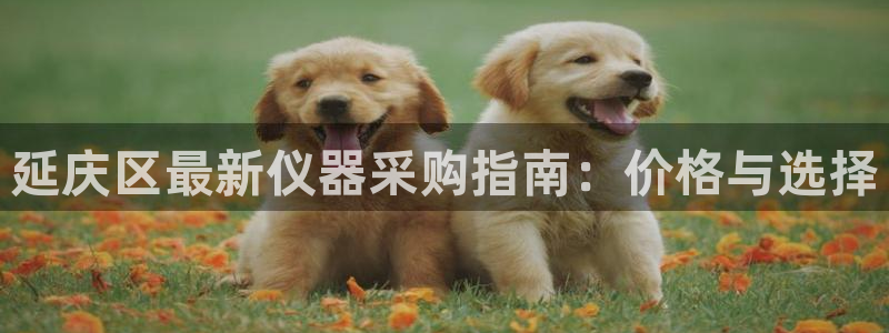 海南意昂体育3：延庆区最新仪器采购指南：价格与选择