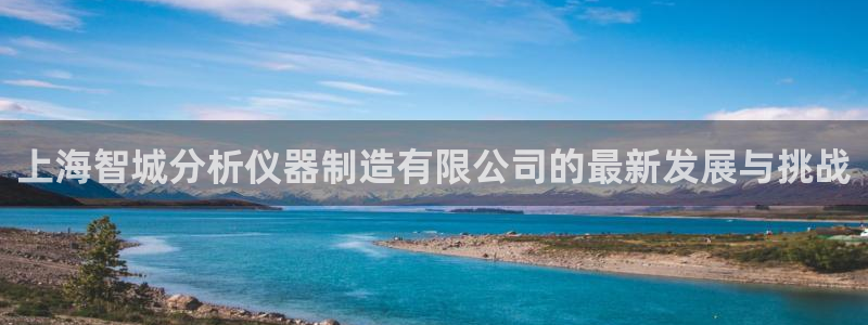 意昂3集团：上海智城分析仪器制造有限公司的最新发展与挑战
