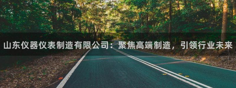 意昂3开户：山东仪器仪表制造有限公司：聚焦高端制造，引领行业