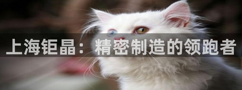 意昂3娱乐40996：上海钜晶：精密制造的领跑者