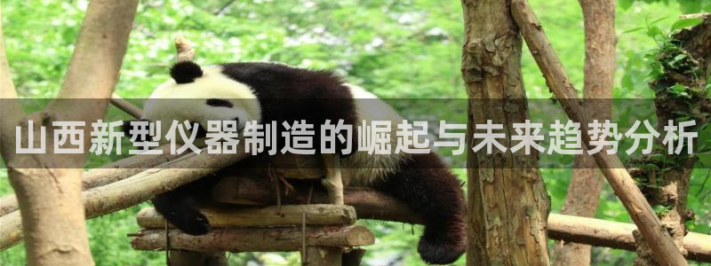 意昂3科技：山西新型仪器制造的崛起与未来趋势分析