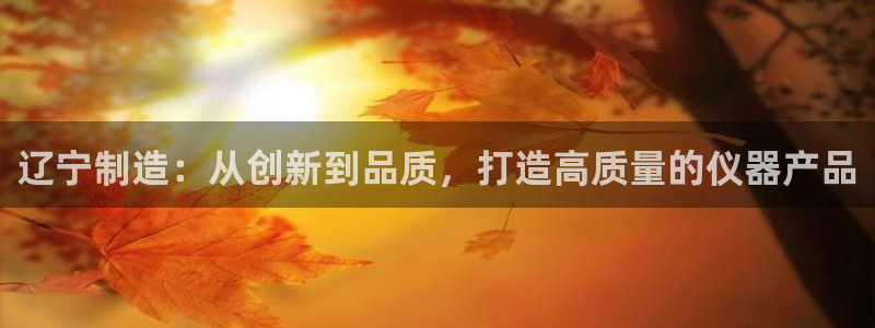 意昂体育3注册：辽宁制造：从创新到品质，打造高质量的仪器产品